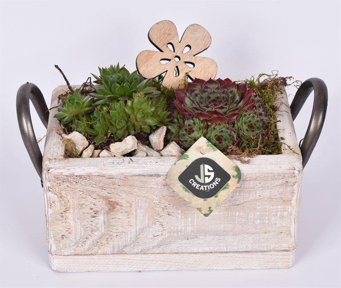 <h4>Hout rechthoek met handvat 20x13cm</h4>