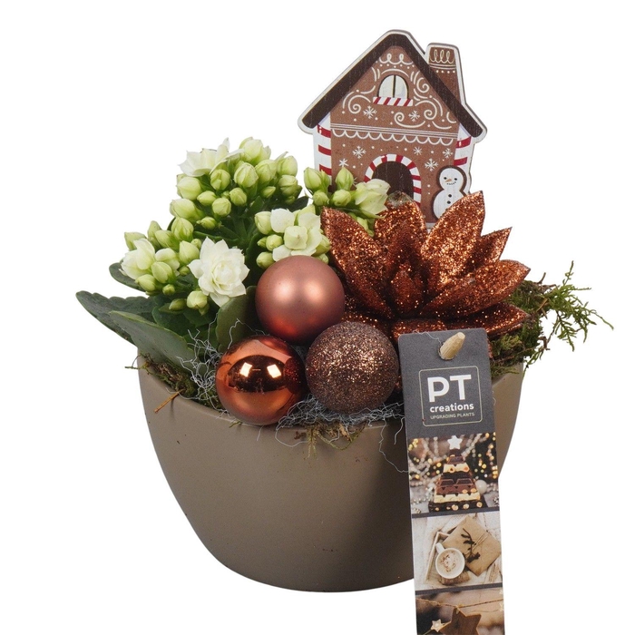 <h4>Deco Christmas Arrangement 14Ø 25cm</h4>