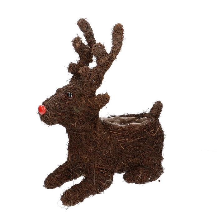 <h4>Kerst Rendier salim plant.d8/25*30cm</h4>