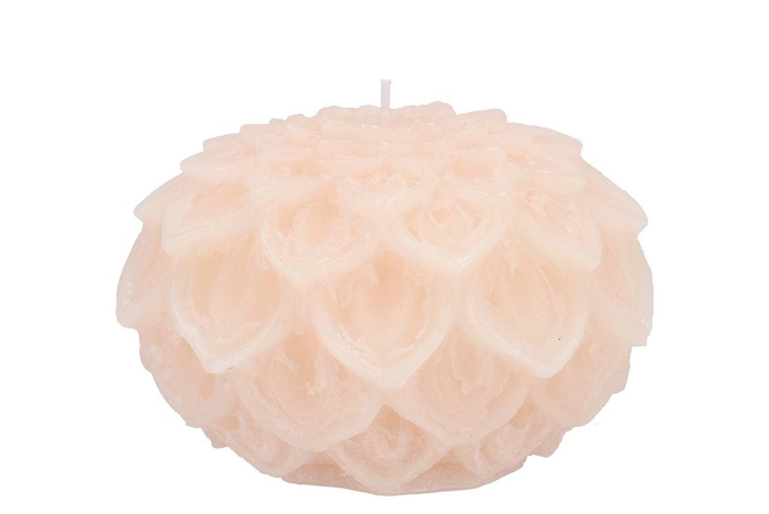 Candle Dahlia Ivory 12x8cm Nm