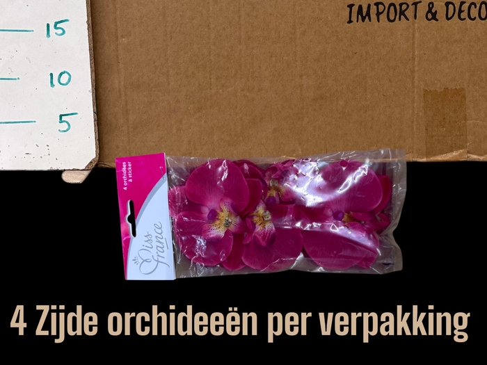 <h4>HUIS EN TUINDECO H%</h4>