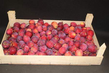 <h4>F Sier Appels Rood Hout Kist</h4>