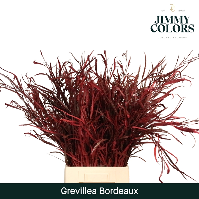 <h4>Grevillea (bunch) Bordeaux</h4>