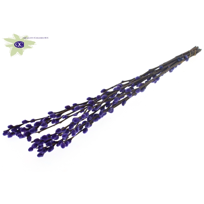 <h4>Pussy Willow 80cm Milka</h4>