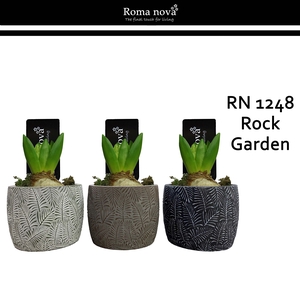 Hya Rom 1248 Rock Garden (