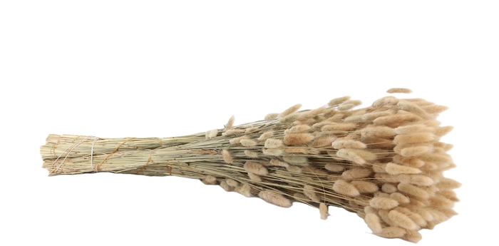 <h4>DROOGBL BEWERKT H%</h4>