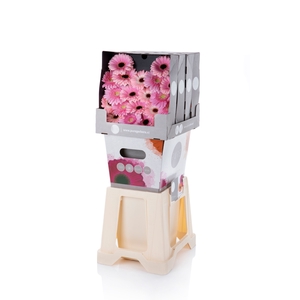 Germini Mix Lila Diamond