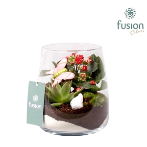 Glas alzada met arrangement en vlinders