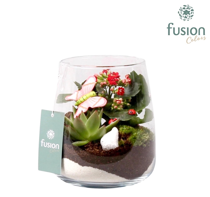 <h4>Glas alzada met arrangement en vlinders</h4>