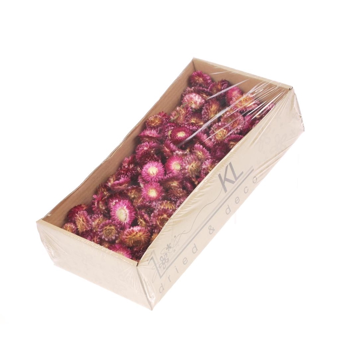 <h4>Helichrysum Heads 100gr Natural Dark Pink</h4>
