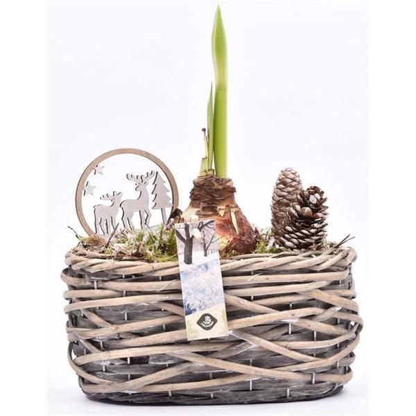 <h4>Wilg mand ovaal girjs 22x13cm</h4>