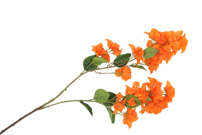 Silk Bougainville Tak Orange 106cm