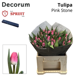 Tu En Pink Stone Box S 50