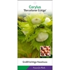 Corylus