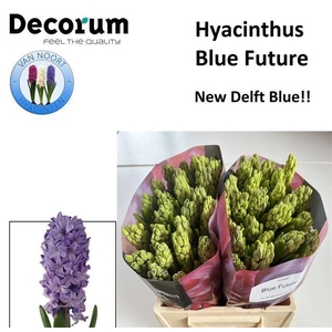 HYAC BLUE FUTURE