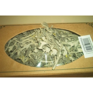 CYNEREA GESTABILISEERD