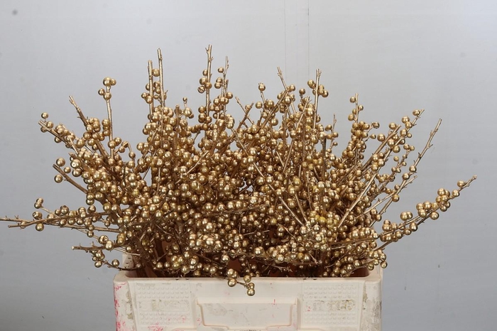 Ilex paint Goud Antiek