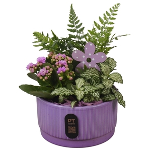 Arr.    Planten  L%