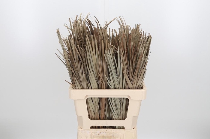 <h4>Droogbl Bew 17,5% St</h4>