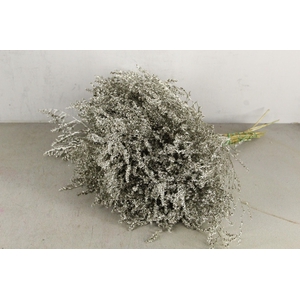 DF Gonio Tat. Bs Platinum 15p