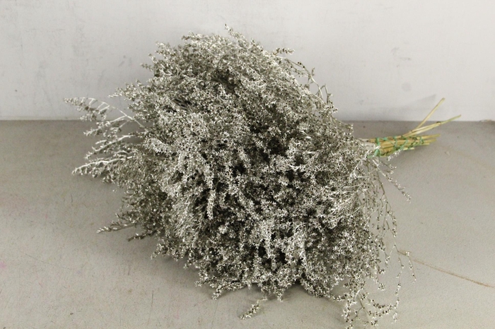 DF Gonio Tat. Bs Platinum 15p