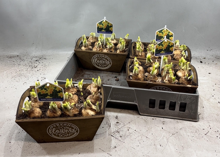 <h4>ARR N TETE A TETE</h4>