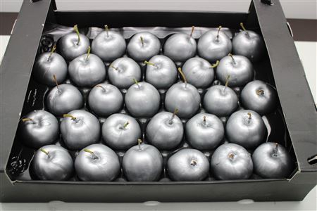 <h4>Waxappel Zilver</h4>