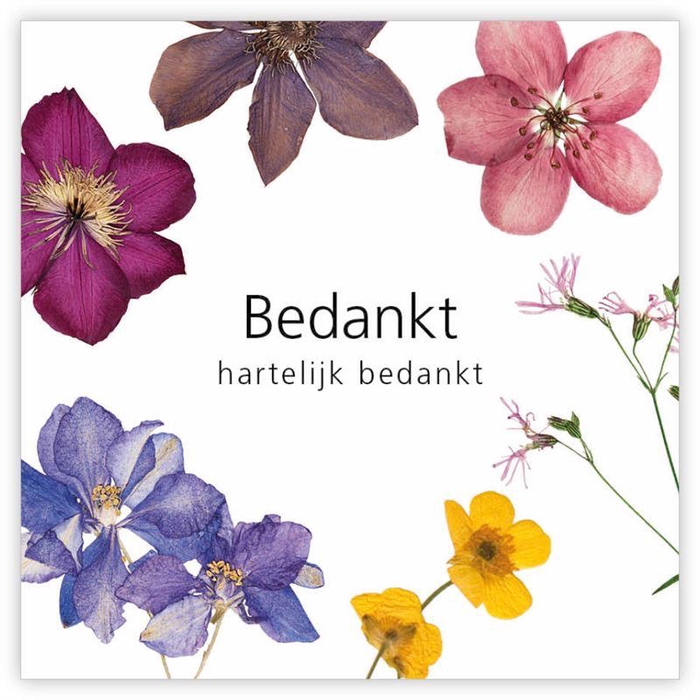 <h4>Kadokaartje 'Le Jardin' à 12 St. Be</h4>