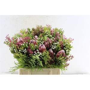 Protea Boeket