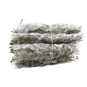 Mostakken Short P Bunch