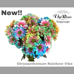 CHR T VIBE RAINBOW x40