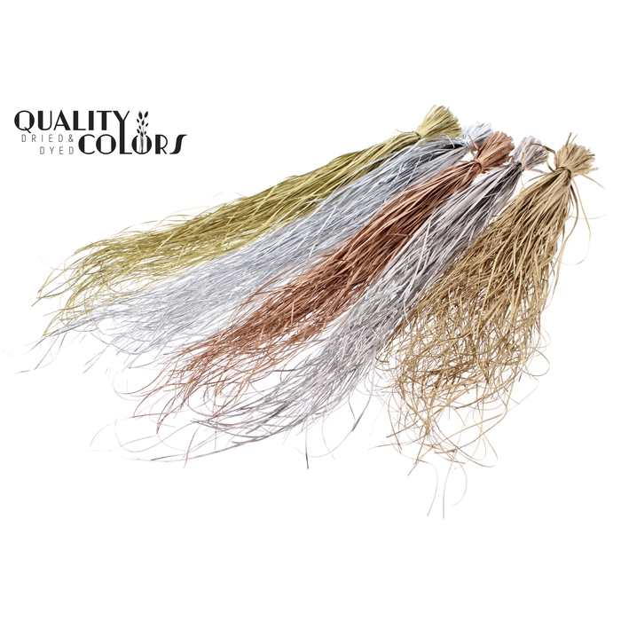 <h4>Beargrass dried per bunch Mixed colours Metallic</h4>