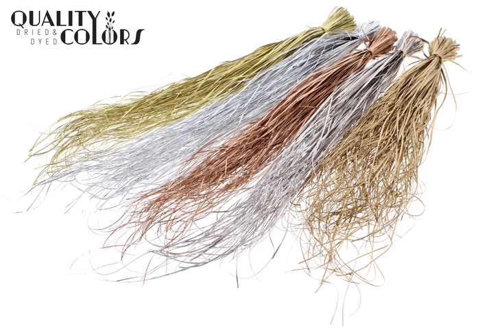 Beargrass dried per bunch Mixed colours Metallic