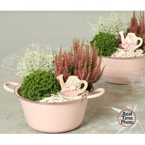 ARR TUINPLANTEN