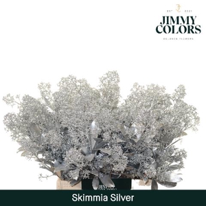 Skimmia Per Bos L45 Mtlc. Zilver + Glitter
