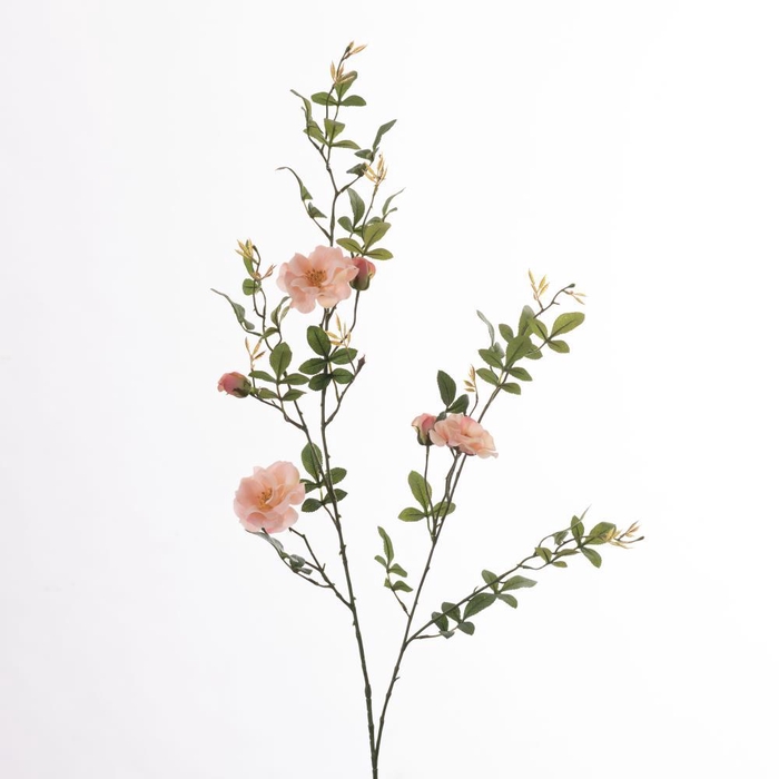<h4>AF Rosa Wild L131cm Pink</h4>