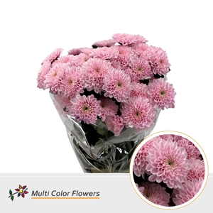 Chr S Cash Soft Pink