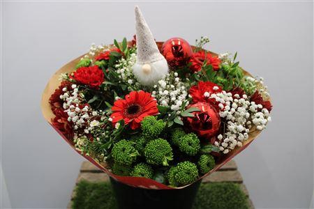 <h4>Gem Boe Groot Rood 35 Stelen Vers</h4>