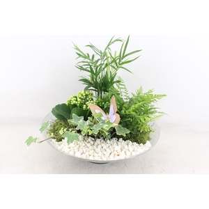 arr2 PL - Glas schaal konisch XL - wit