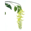 Wild wisteria garland cream 162cm