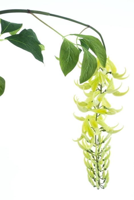 <h4>Wild wisteria garland cream 162cm</h4>