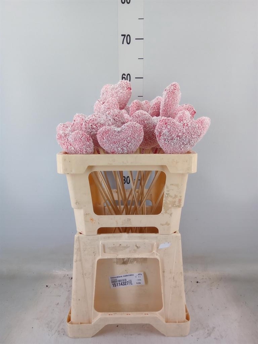 <h4>Decoratieve materialen   ...H%</h4>