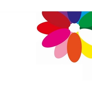 Tulipa si mix 4 colours