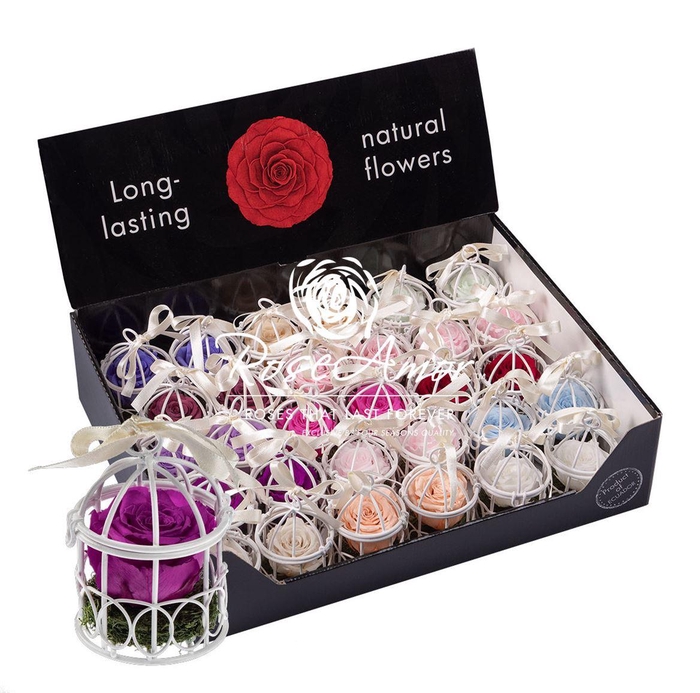 <h4>Display Bird Cage Assorted Pastel</h4>