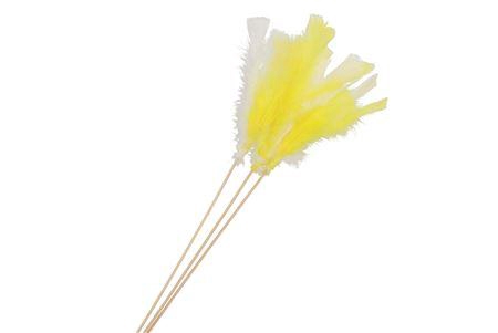 <h4>Feathers Yellow/white On Stick 50cm P/50 Nm</h4>