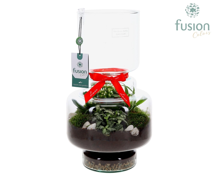 <h4>Green Bottle Lotte Large met Love arrangement</h4>