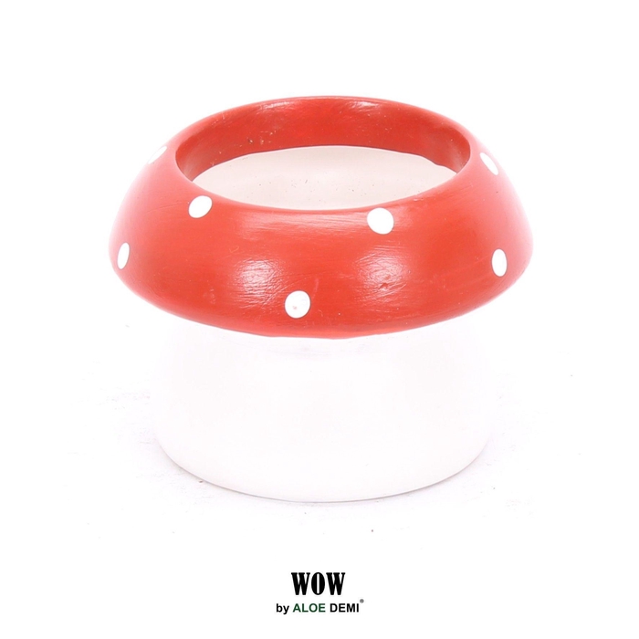 <h4>WOW Mushroom</h4>