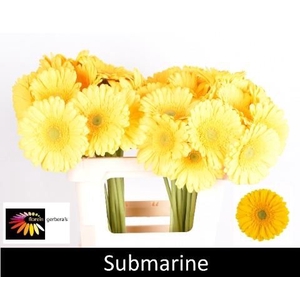 GE GR SUBMARINE