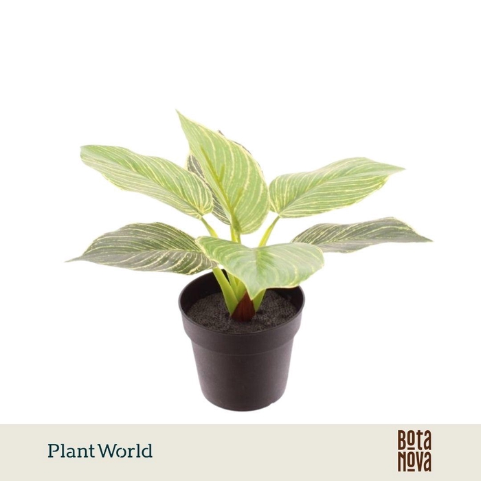 <h4>Artificial Philodendron Birkin</h4>