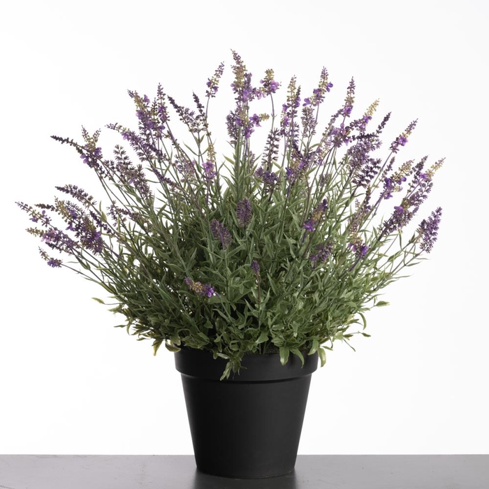 Af Lavender Pot H69cm Purple